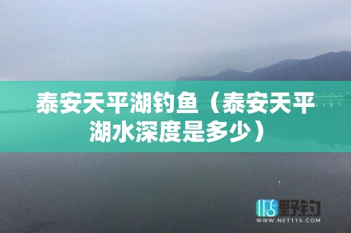 泰安天平湖钓鱼（泰安天平湖水深度是多少）
