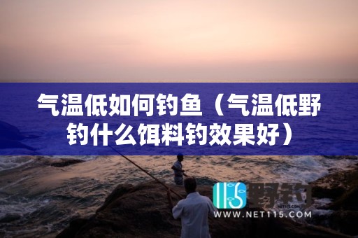 气温低如何钓鱼（气温低野钓什么饵料钓效果好）