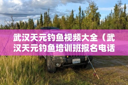 武汉天元钓鱼视频大全（武汉天元钓鱼培训班报名电话）