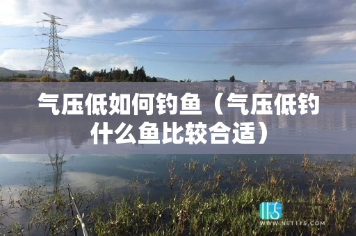 气压低如何钓鱼（气压低钓什么鱼比较合适）