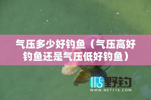 气压多少好钓鱼（气压高好钓鱼还是气压低好钓鱼）
