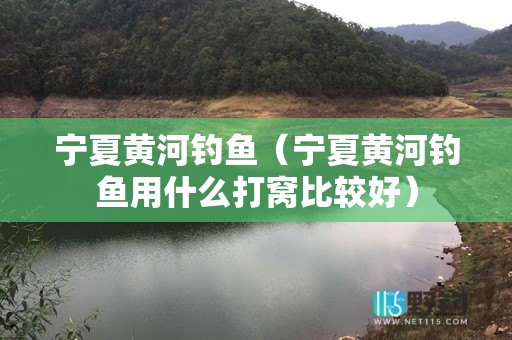宁夏黄河钓鱼（宁夏黄河钓鱼用什么打窝比较好）