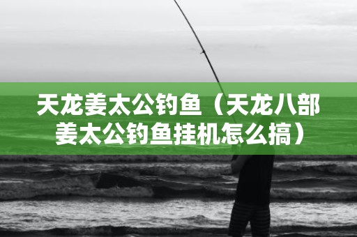 天龙姜太公钓鱼（天龙八部姜太公钓鱼挂机怎么搞）