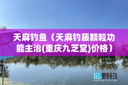 天麻钓鱼（天麻钓藤颗粒功能主治(重庆九芝堂)价格）