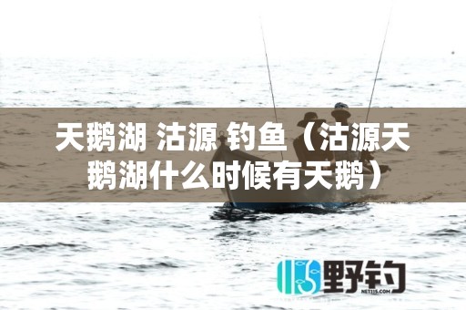 天鹅湖 沽源 钓鱼（沽源天鹅湖什么时候有天鹅）