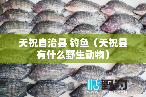 天祝自治县 钓鱼（天祝县有什么野生动物）