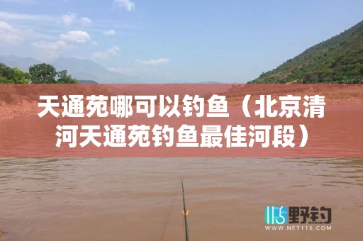 天通苑哪可以钓鱼（北京清河天通苑钓鱼最佳河段）