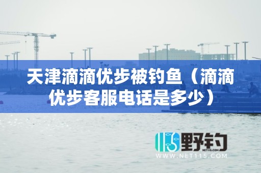 天津滴滴优步被钓鱼（滴滴优步客服电话是多少）
