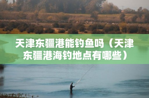 天津东疆港能钓鱼吗（天津东疆港海钓地点有哪些）