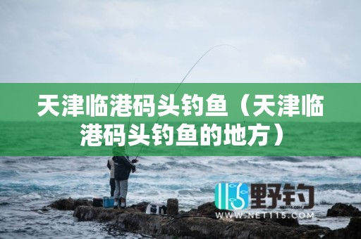 天津临港码头钓鱼（天津临港码头钓鱼的地方）