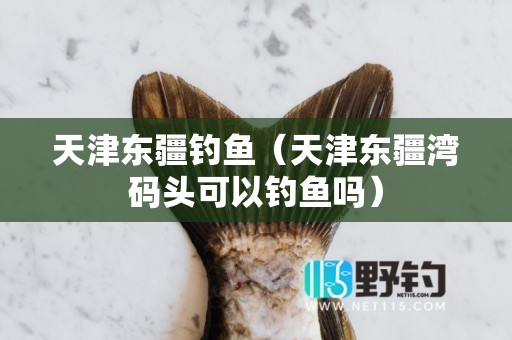 天津东疆钓鱼（天津东疆湾码头可以钓鱼吗）