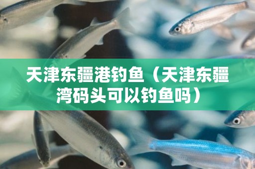 天津东疆港钓鱼（天津东疆湾码头可以钓鱼吗）