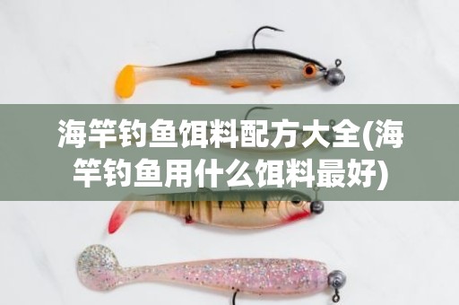 海竿钓鱼饵料配方大全(海竿钓鱼用什么饵料最好)