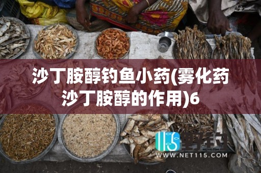 沙丁胺醇钓鱼小药(雾化药沙丁胺醇的作用)6