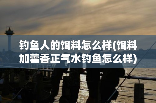 钓鱼人的饵料怎么样(饵料加藿香正气水钓鱼怎么样)