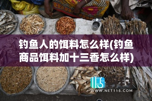 钓鱼人的饵料怎么样(钓鱼商品饵料加十三香怎么样)