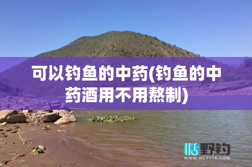 可以钓鱼的中药(钓鱼的中药酒用不用熬制)