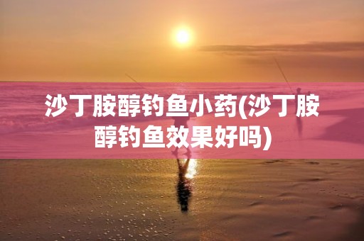 沙丁胺醇钓鱼小药(沙丁胺醇钓鱼效果好吗)