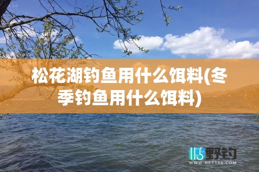 松花湖钓鱼用什么饵料(冬季钓鱼用什么饵料)