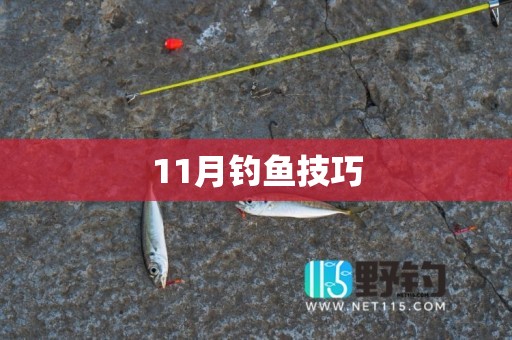 11月钓鱼技巧