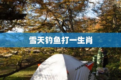 雪天钓鱼打一生肖