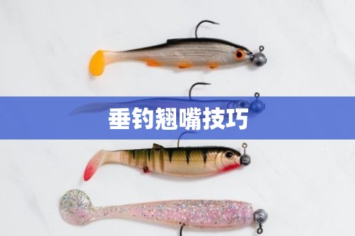 垂钓翘嘴技巧