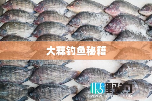 大蒜钓鱼秘籍