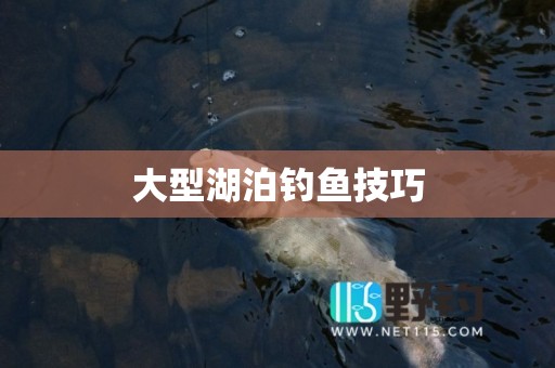 大型湖泊钓鱼技巧