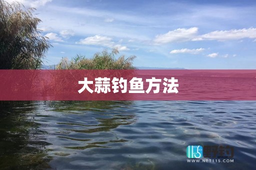 大蒜钓鱼方法