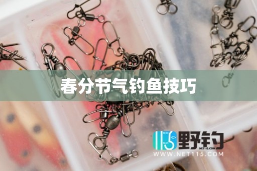 春分节气钓鱼技巧
