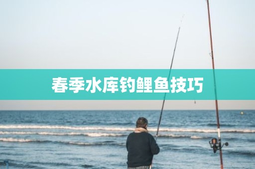春季水库钓鲤鱼技巧