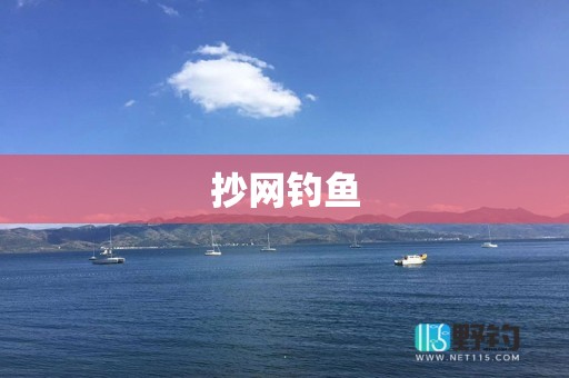 抄网钓鱼