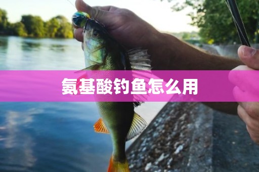 氨基酸钓鱼怎么用
