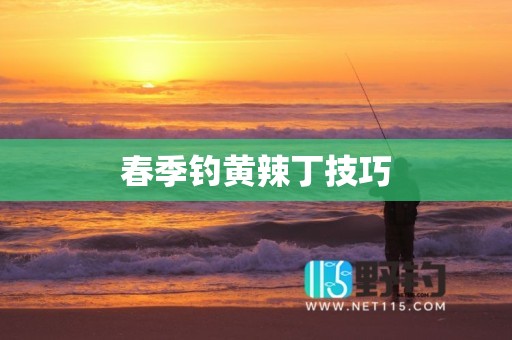 春季钓黄辣丁技巧