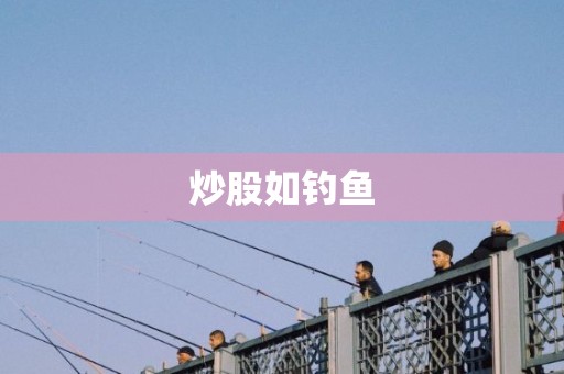 炒股如钓鱼