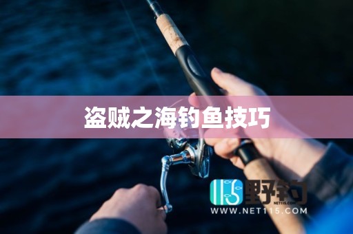盗贼之海钓鱼技巧