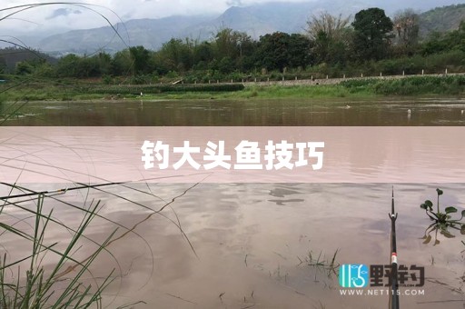 钓大头鱼技巧