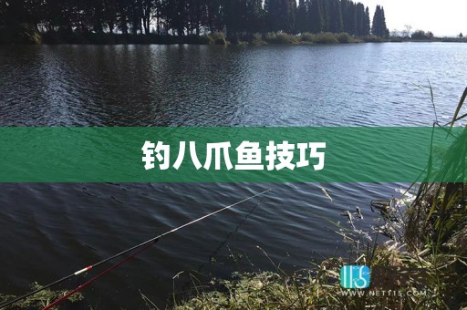 钓八爪鱼技巧