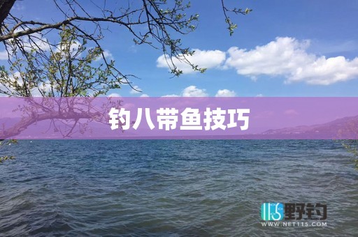 钓八带鱼技巧