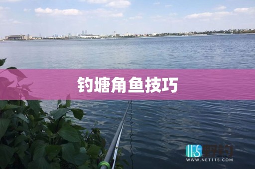 钓塘角鱼技巧