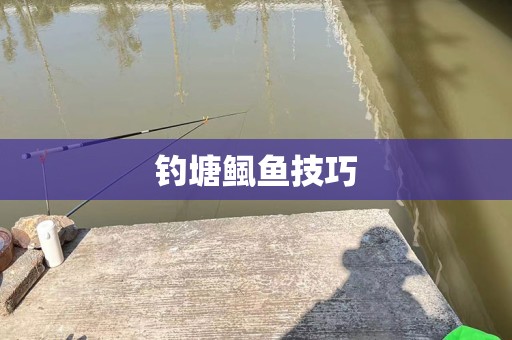 钓塘鲺鱼技巧