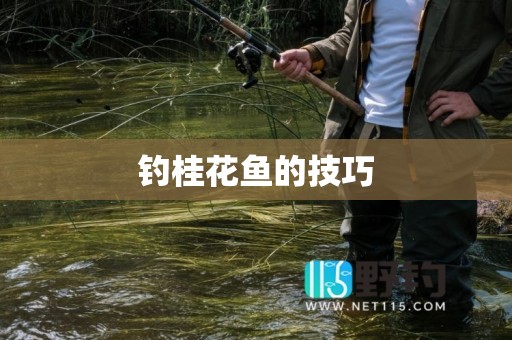 钓桂花鱼的技巧