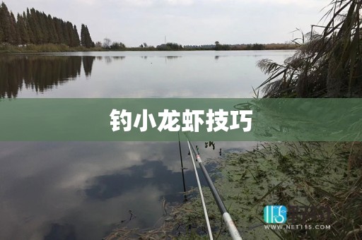 钓小龙虾技巧