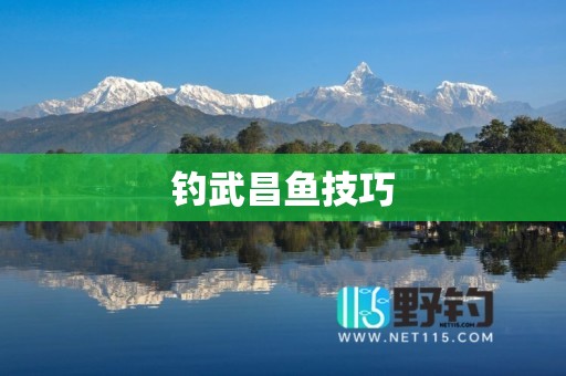 钓武昌鱼技巧