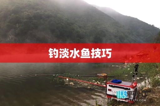 钓淡水鱼技巧