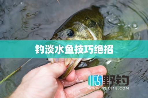 钓淡水鱼技巧绝招