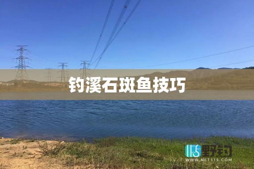 钓溪石斑鱼技巧