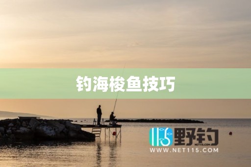 钓海梭鱼技巧