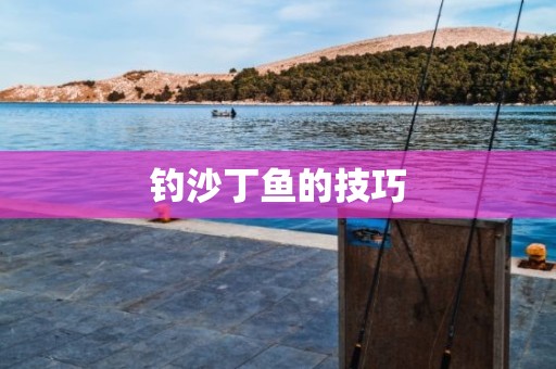 钓沙丁鱼的技巧