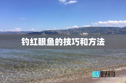 钓红眼鱼的技巧和方法